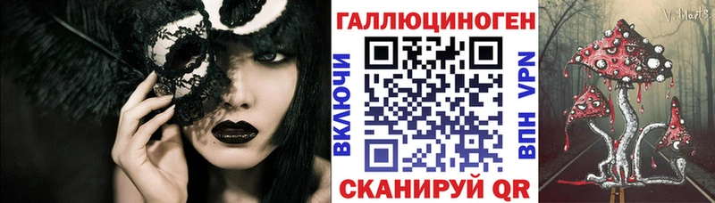 MEGA ссылки  Шенкурск  Псилоцибиновые грибы мухоморы 