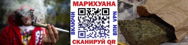 Конопля гибрид Шенкурск